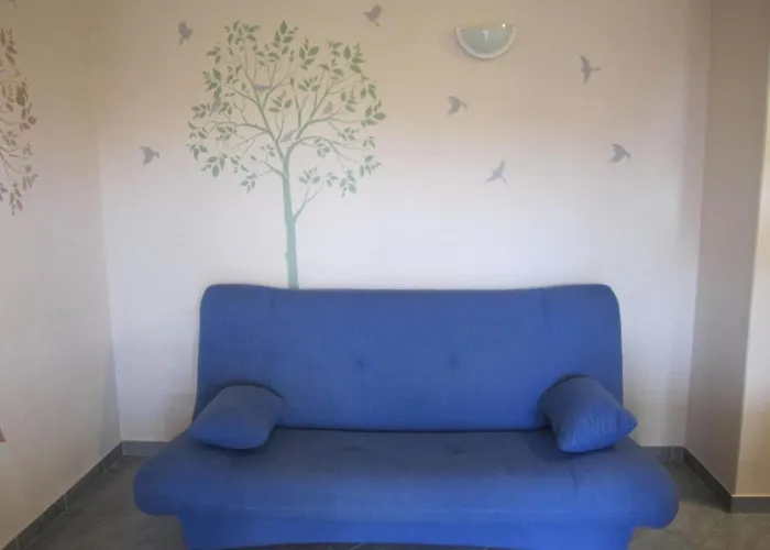 Marica Бродарица